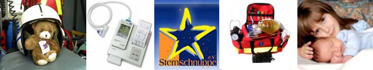 sternschnuppe_logo_BISS_e_v_